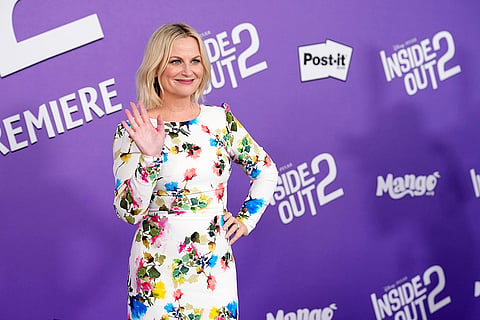 Amy Poehler
